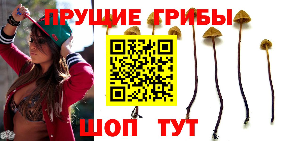 Псилоцибиновые грибы ЛСД  Псилоцибиновые грибы Cubensis  Вход с VPN  Миллерово 